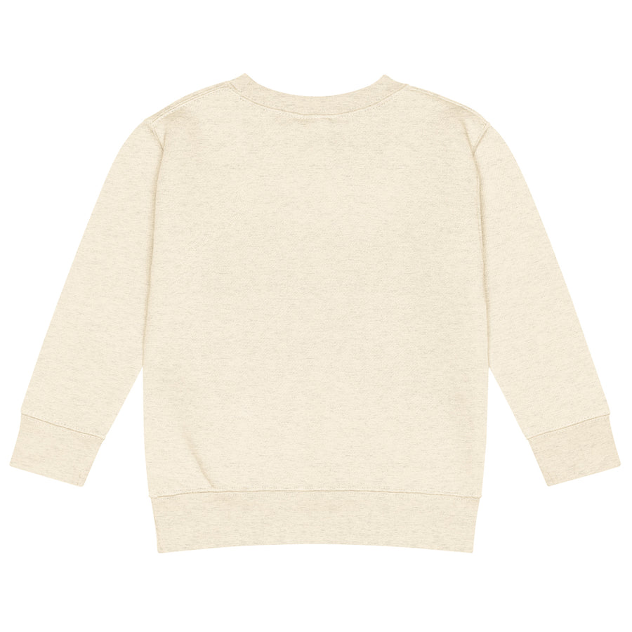 Kids & Big Kids Clothing — fleece crew neck regular fit sweatshirt — Super Sistah Hearts & Stars
