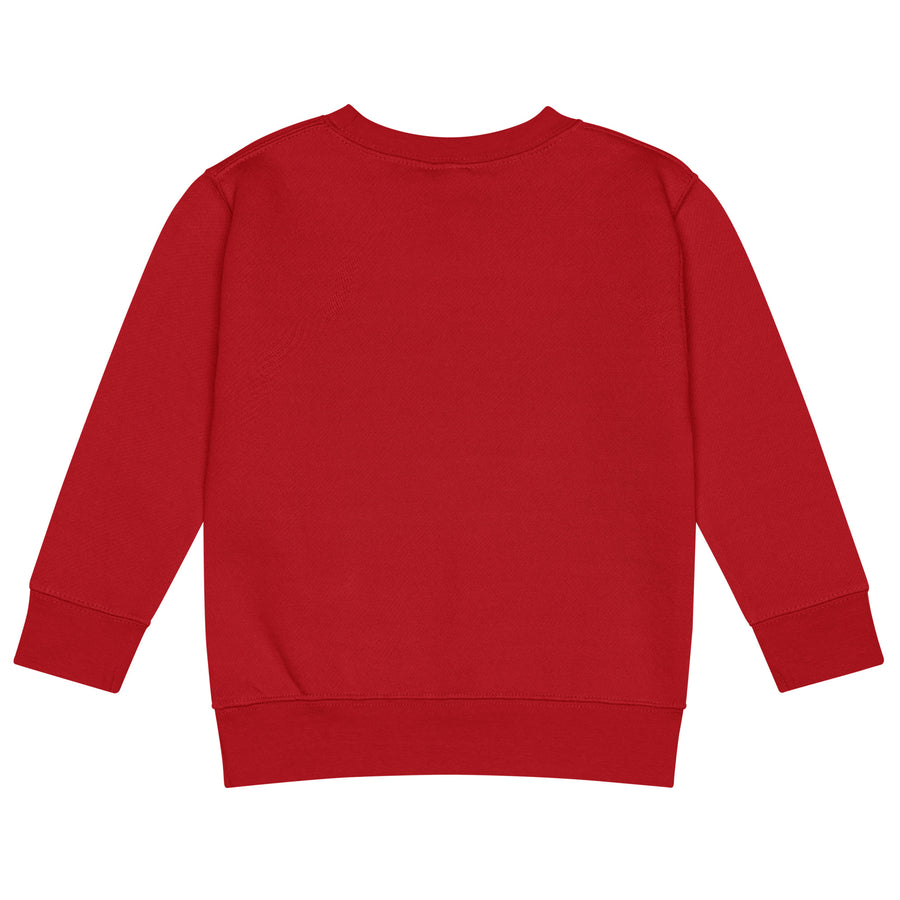 Kids & Big Kids Clothing - three end fleece regular fit sweatshirt - I Love My Natural Hair